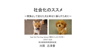 社会化のススメ　〜家族として迎えた犬と幸せに暮らすために〜