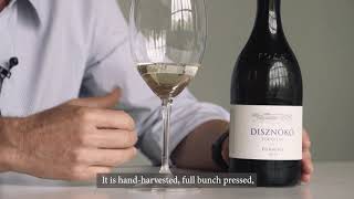 Tokaji Dry Furmint -  Disznókő estate from Tokaj Hungary by László Mészáros