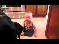 große hunde lieben babys compilation april 2014 neu hd