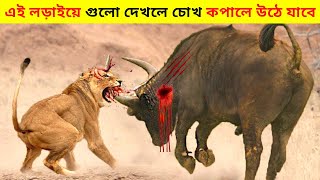 জঙ্গলি প্রাণীদের সবচেয়ে ভয়ঙ্কর লড়াই।।10 Most Dangerous Wild Animal Fights In Bangla