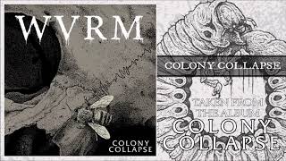 WVRM - COLONY COLLAPSE (OFFICIAL AUDIO)