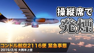 【解説】コンドル航空2116便 コックピット内で発煙【重大インシデント】