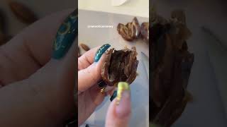 🚨Always check your dates!🐜 #neuroticmommy #dates #gross #mold #bugs