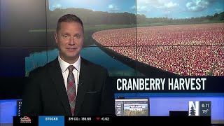 Stone Lake farm prepares to celebrate its 46th cranberry festival