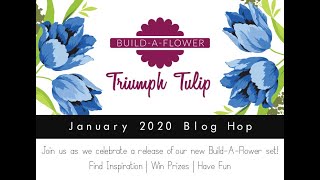 ALTENEW  BAF TRIUMPH TULIP   Process Video