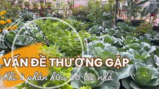 149 Ủ PHÂN HỮU CƠ TẠI NHÀ, các vấn đề thường gặp và cách xử lý đơn giản