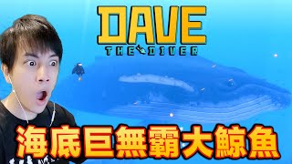 DAVE THE DIVER《潛水員戴夫》 潛入超恐怖的深層海底世界探索  #5