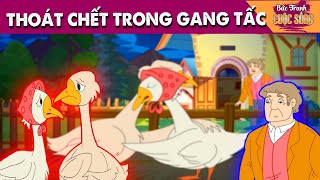 THOÁT CHẾT TRONG GANG TẤC - PHIM HOẠT HÌNH - TRUYỆN CỔ TÍCH - HOẠT HÌNH GIẢI TRÍ - TỔNG HỢP PHIM HAY