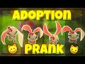 Adoption Prank // Animal Jam