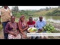 Improving urban food security in Central Africa