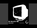 Binary Codes