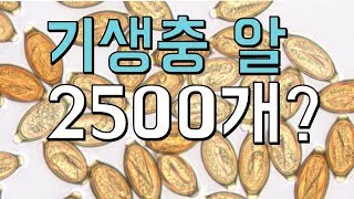 장염 환자에게 기생충 알 2,500개를 먹이면? (혐짤X) ｜기생충의 과학-3탄