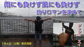 【船橋港】雨にも負けず風にも負けず　シーバス＆bigエイ釣れました！