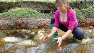 Amazing Fishing Techniques , Pump Water Outside The Lake, Girl Catching Many Big Fish