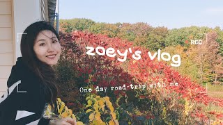 zoey's vlog | 波士顿的红叶季来啦！来一次一天的自驾游吧 | 一次素颜出镜|分享我的日常 | one day road-trip with me