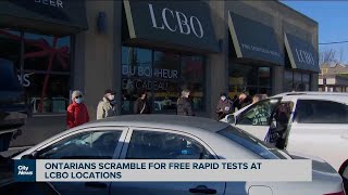 Ontarians scramble for free rapid tests at LCBO locations