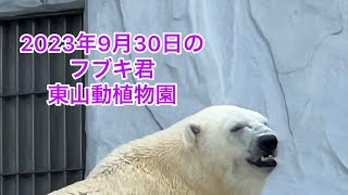 ２０２３年９月３０日のフブキ君　東山動植物園