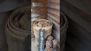 Togariishi Onsen Jomon Hot Spring　尖石温泉縄文の湯　長野　Nagano 源泉かけ流し ♨