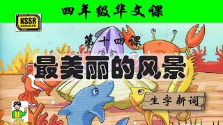 四年级华文 第十四课 《 最美丽的风景 》 生字新词 含义 汉语拼音 例句 笔画 笔顺 部首 汉字结构 构词 多音多义字 课后精华 KSSR SEMAKAN