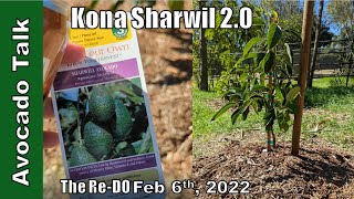 Kona Sharwil Avocado 2.0 - The Re-DO - 🥑Avocado Talk🥑