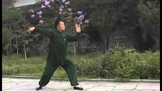 杨式传统太极拳88式