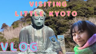 A Sunny But Cold Day In Japanese Winter Part 1 --- Vlog 21