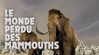 Pourquoi les Mammouths ont disparu ?