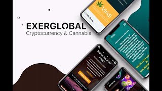 🔴ОБЗОР КРИПТОВАЛЮТНОГО ПРОЕКТА YOUNIQ EXERGLOBAL 🚩