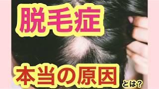 薄毛・抜け毛・脱毛症の【本当の原因】とは？　血流と自律神経の専門治療院　大阪市中央区　鍼灸整体院したらパーソナルケア