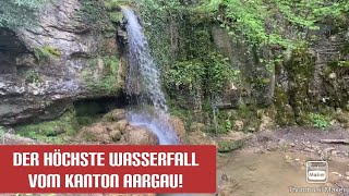 Aargau: Rundwanderung zum höchsten Wasserfall im Kanton Aargau und zur Linner Linde