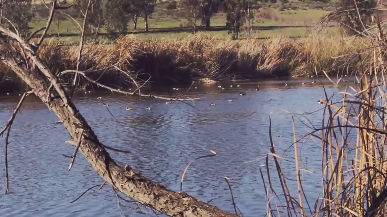 Shaky Camera Footage Youtube