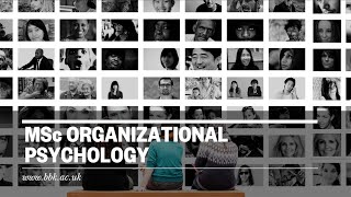 MSc Organizational Psychology