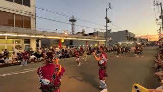 鳴門阿波踊り2023.8.11「うず潮連」大道踊り通り