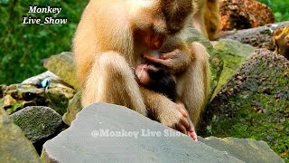 Emotionally mom Libby give soft touch comfort baby Brady while he getting milk