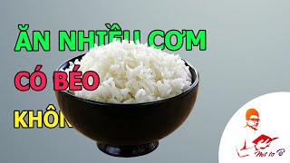 🍚 Ăn nhiều Cơm Trắng có làm bạn Béo không?