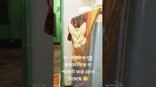 মা পচা মা বাজে আমাকে দুষ্টু করতে দিছে না😭#viral#short#funnycat Reshmi channel