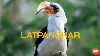 Latpanchar # Offbeat weekend tour from Kolkata # some important tips # Bengali