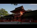 【4k】八幡大神が降臨した八幡信仰の総本宮：大分県・宇佐神宮 usa jingū shinto shrine in Ōita prefecture