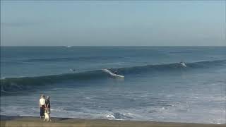 2020.9.5 湘南波情報動画　AM6:35 パーク　Jerry Smith