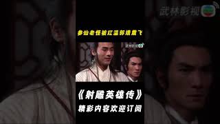 【射雕英雄傳1994】郭靖紅溫，直接震飛了參仙老怪！#shorts#射雕英雄傳#朱茵#张智霖#罗嘉良