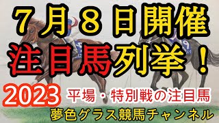 【注目馬列挙・平場予想】2023年7月8日JRA平場特別戦！各場最終レースの注目馬！福島・中京は道悪？