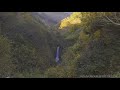 jg☆☆☆8k hdr 北海道 秋の賀老の滝 滝百選 と日本最大のブナ林 hokkaido garo fall and beech forest