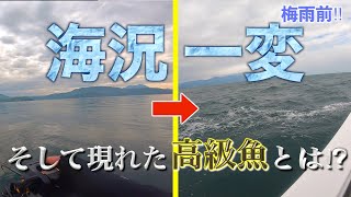 【この仕掛けに！？】梅雨前の釣り！海況が悪い中釣れた高級魚はまさかの仕掛けでGET！？