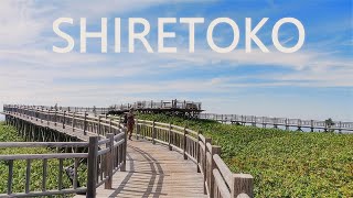 Vlog #6 | Shiretoko 5 Lakes | A day at Shiretoko Goko | 知床五湖　北海道の自転車旅