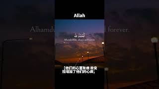 古兰经注释（黄牛章）#穆罕默德 #古兰经 #allah #islam #kuran