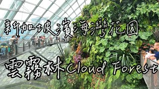 2024 #新加坡自由行 新加坡濱海灣花園 雲霧林 Cloud Forest / Gardens by the Bay | Singapore