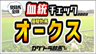 【オークス2023】ヴィクトリアM◎ソングライン！NHKマイルに続き連続推奨成功！おかげさまで春ＧⅠプラス上積み中！高評価4頭！