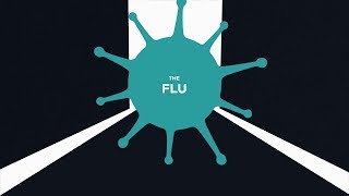 Explained: The Flu and How We Can Prevent Another Pandemic