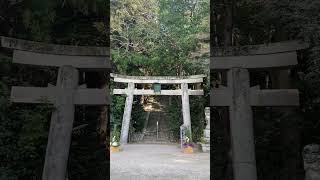 【建水分神社】謹賀新年🎍素敵な1年の始まりにお参りしてきました‼︎舞をイメージして踊っていたらカラスに笑われちゃった😂#大阪府#千早赤坂村#建水分神社#瀬織津媛神