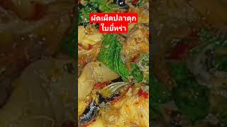 ผัดเผ็ด ปลาดุกใบยี่หร่า #ติ๊กตั้ม Channel